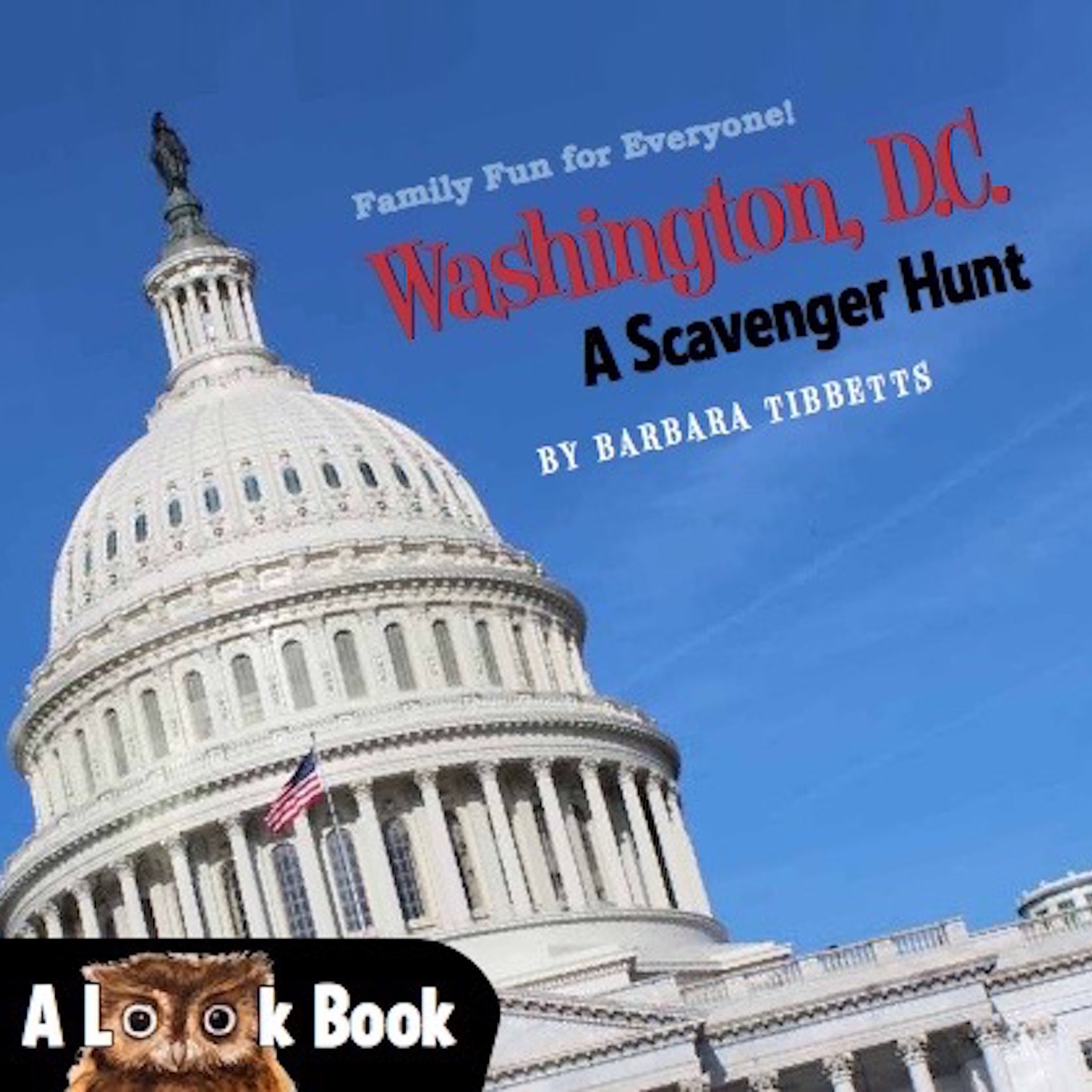 Washington, D.C. – Look Book Scavenger Hunt