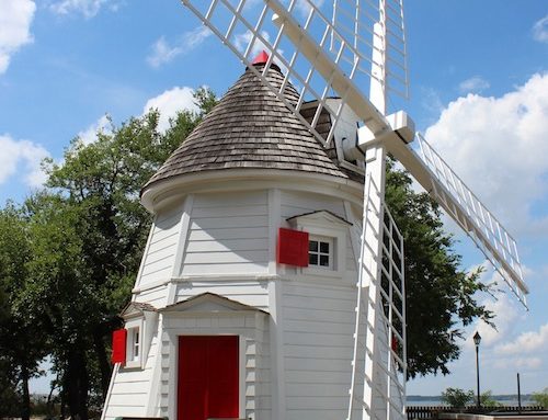 Books Continue To Be A Refuge!